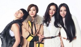 娱乐吃瓜君选秀明星,娱乐吃瓜君带你揭秘娱乐圈的璀璨星途